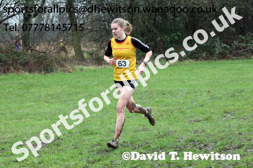 Senior girls Northern Inter Counties Schools Cross Country, Stockton. Photo: David T. Hewitson/Sports for All Pics